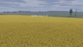 better-canola-texture-v1.0-1.jpg