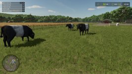 animal-pack-more-cattle-breeds-edition-v1.0-5.jpg