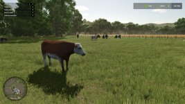 animal-pack-more-cattle-breeds-edition-v1.0-4.jpg