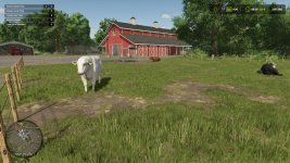 animal-pack-more-cattle-breeds-edition-v1.0-3.jpg
