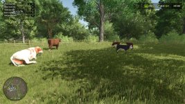animal-pack-more-cattle-breeds-edition-v1.0-2.jpg