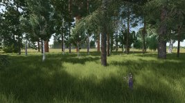 new-trees-types-2B-new-tree-limit-v1.3-3.jpg new-trees-types-2B-new-tree-limit-v1.3-3.jpg