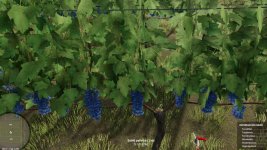 vine-harvest-hand-tool-v1.0.0.1-1.jpg vine-harvest-hand-tool-v1.0.0.1-1.jpg