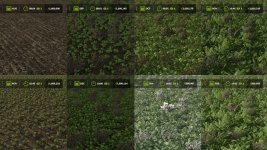 fast-growth-v1.0.1-2.jpg fast-growth-v1.0.1-2.jpg