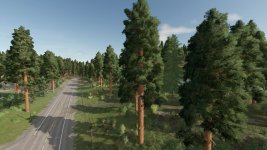 forester-v1.0.0.2-2.jpg forester-v1.0.0.2-2.jpg