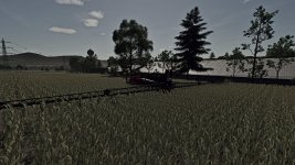 silage-sorghum-v1.0-5.jpg