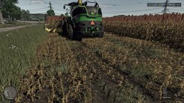 silage-sorghum-v1.0-3.jpg