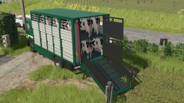 livestock-transporter-man-19.403-v1.0-5.jpg