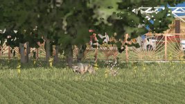 more-wild-animals-v1.1-3.jpg