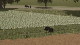 more-wild-animals-v1.1-2.jpg