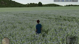 judith-plains-2C-montana-4x-multifruit-and-productions-edit-v3.1-3.jpg