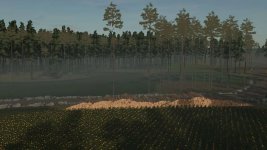 staby-forest-v1.4-2 (1).jpg