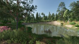 forest-valley-v1.0.2-2.jpg