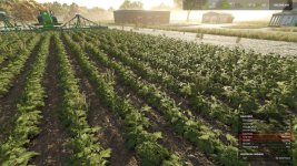 03_plant-potatos-with-seeders-and-planters-v1.0-3.jpg
