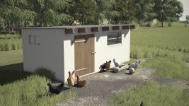 03_small-renovated-chicken-coop-v1.0-3.jpg