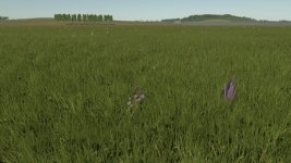 fazenda-mata-4x-beta-3.jpg