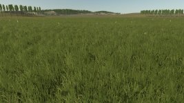 fazenda-mata-4x-beta-2.jpg