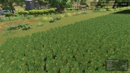 terras-alagadas-v1.0.0.1-2.jpg