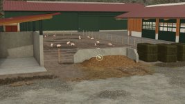 02.jpg
