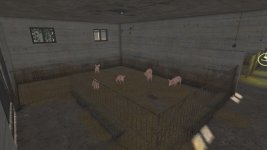 06.jpg