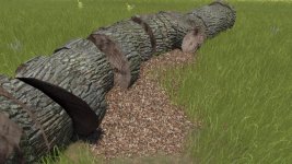 01.jpg