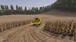 02.jpg