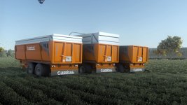 06.jpg