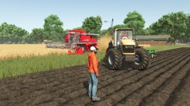03.jpg