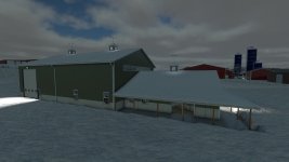 06.jpg