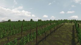 03.jpg