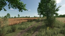 lipinki-v1.1-6 (1).jpg