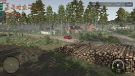 finnish-coastal-forest-beta-1 (1).jpg