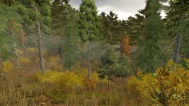 ever-green-coast-v1.0.0.2-4.jpg