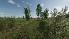 lipinki-v1.2-6.jpg