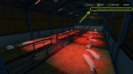 04.jpg