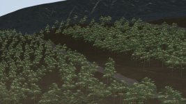 02.jpg