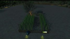 03.jpg